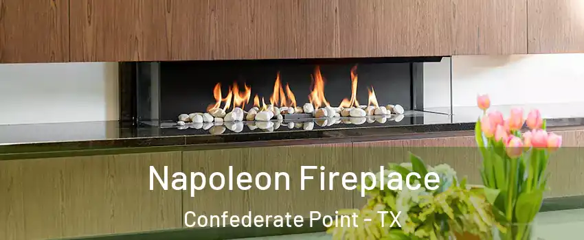 Napoleon Fireplace Confederate Point - TX
