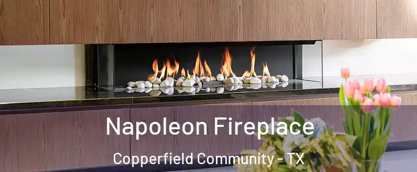 Napoleon Fireplace Copperfield Community - TX