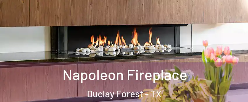 Napoleon Fireplace Duclay Forest - TX