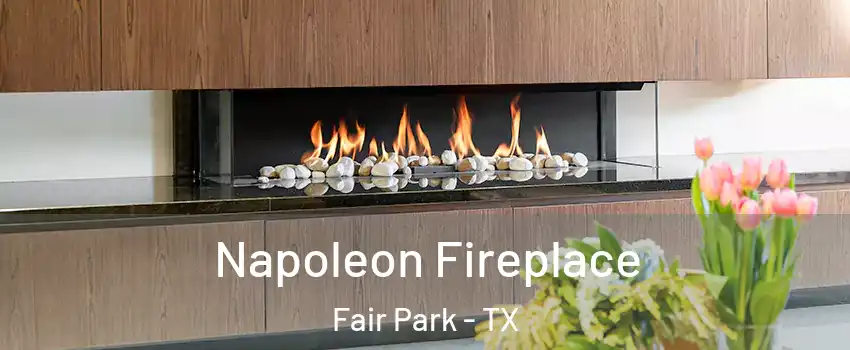 Napoleon Fireplace Fair Park - TX