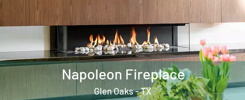 Napoleon Fireplace Glen Oaks - TX