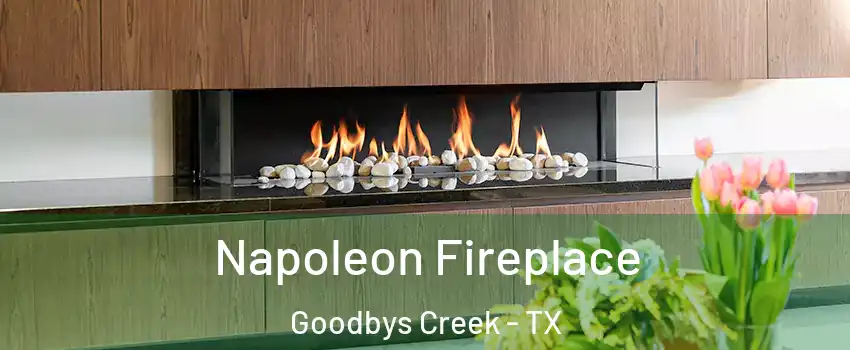 Napoleon Fireplace Goodbys Creek - TX