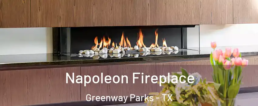 Napoleon Fireplace Greenway Parks - TX