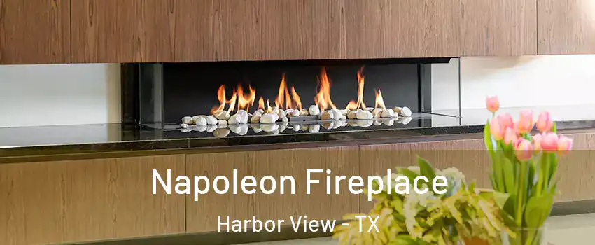 Napoleon Fireplace Harbor View - TX