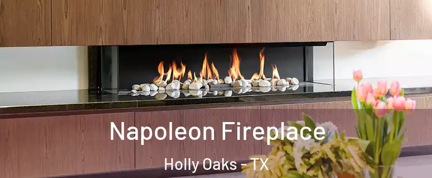 Napoleon Fireplace Holly Oaks - TX