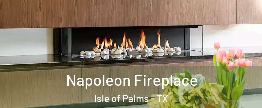 Napoleon Fireplace Isle of Palms - TX