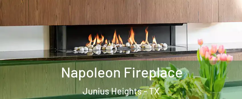 Napoleon Fireplace Junius Heights - TX