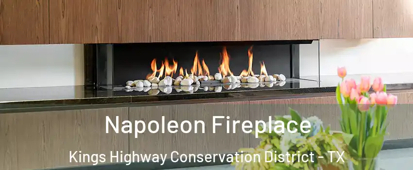 Napoleon Fireplace Kings Highway Conservation District - TX