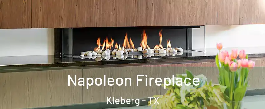 Napoleon Fireplace Kleberg - TX