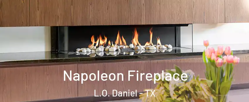 Napoleon Fireplace L.O. Daniel - TX