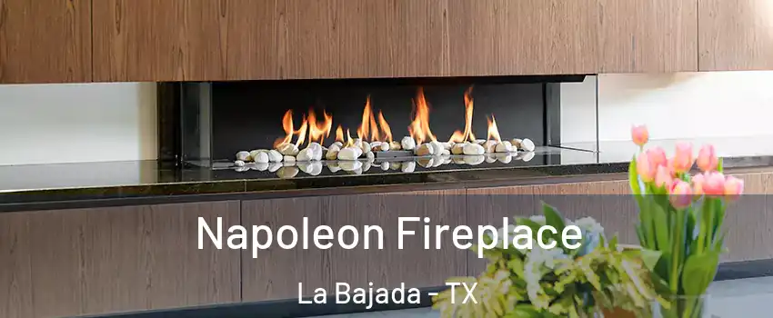 Napoleon Fireplace La Bajada - TX