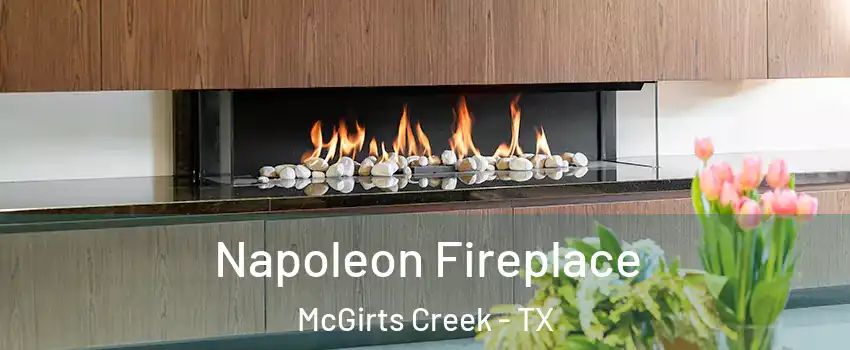Napoleon Fireplace McGirts Creek - TX
