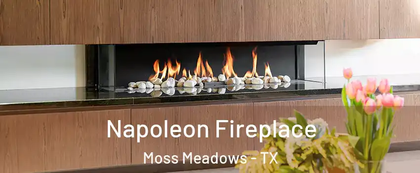 Napoleon Fireplace Moss Meadows - TX