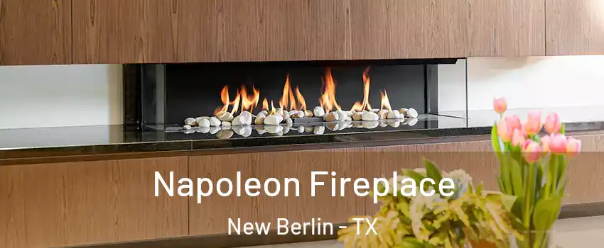 Napoleon Fireplace New Berlin - TX