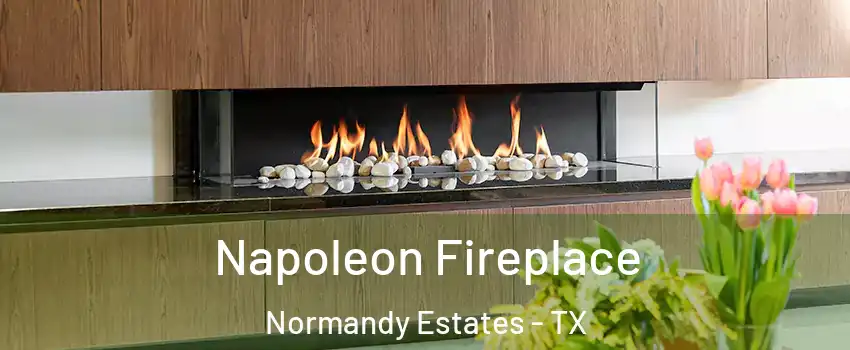 Napoleon Fireplace Normandy Estates - TX