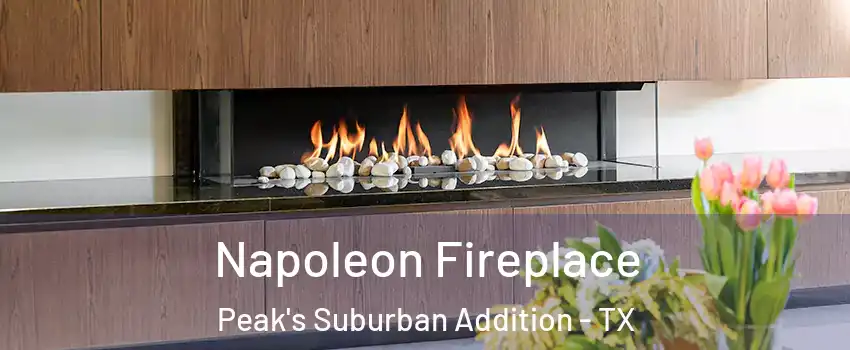 Napoleon Fireplace Peak's Suburban Addition - TX