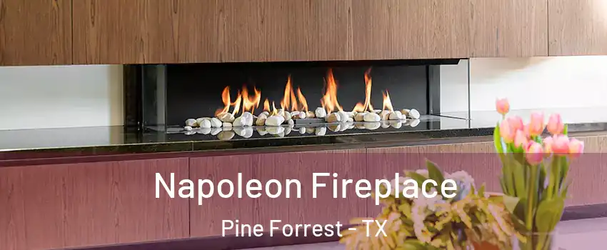 Napoleon Fireplace Pine Forrest - TX