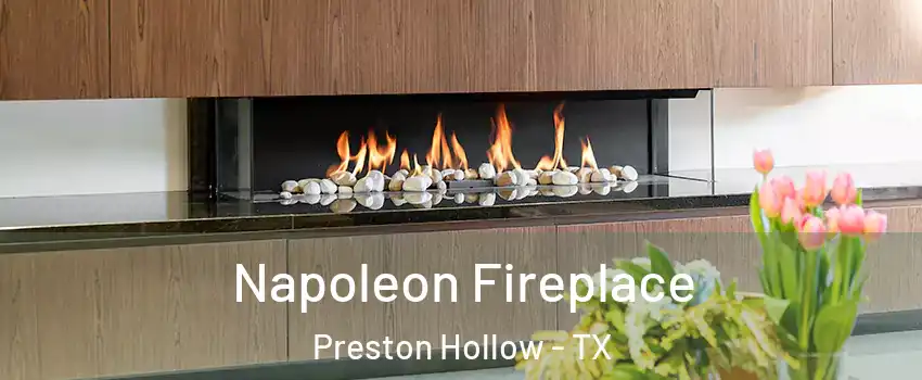 Napoleon Fireplace Preston Hollow - TX