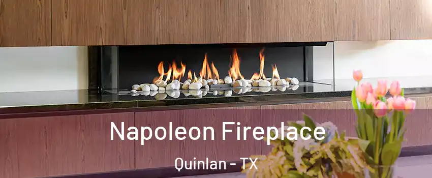 Napoleon Fireplace Quinlan - TX