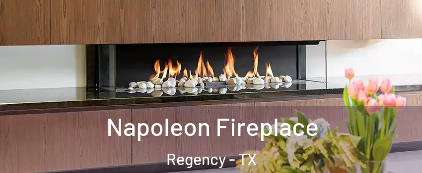 Napoleon Fireplace Regency - TX