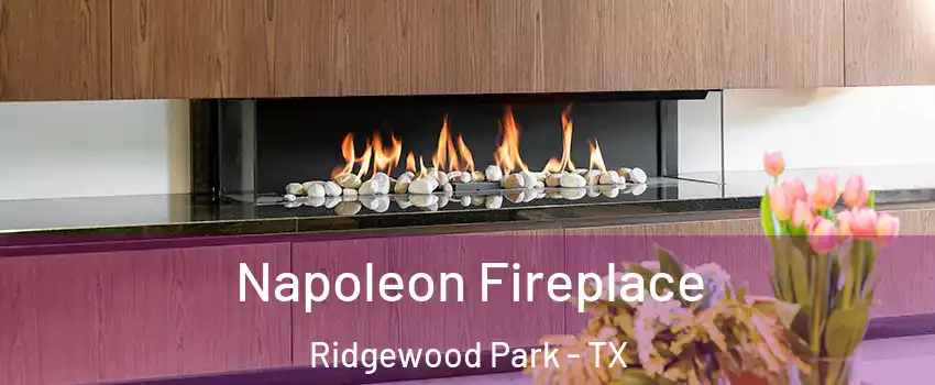 Napoleon Fireplace Ridgewood Park - TX