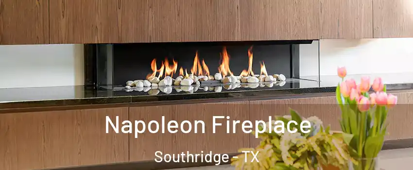 Napoleon Fireplace Southridge - TX