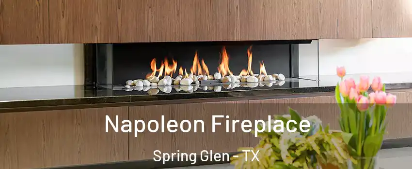 Napoleon Fireplace Spring Glen - TX