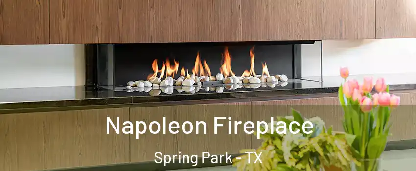 Napoleon Fireplace Spring Park - TX