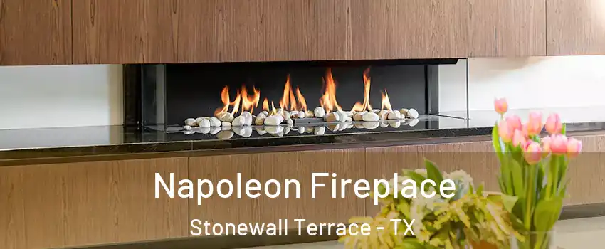 Napoleon Fireplace Stonewall Terrace - TX
