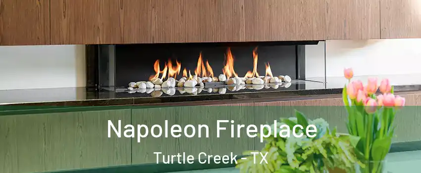Napoleon Fireplace Turtle Creek - TX