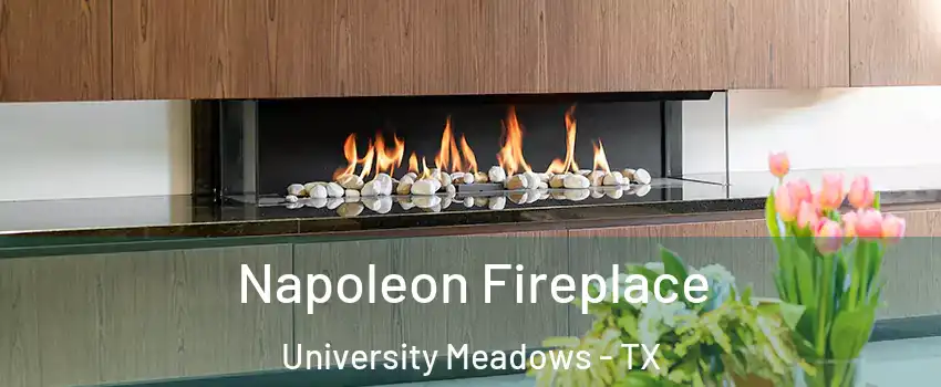 Napoleon Fireplace University Meadows - TX