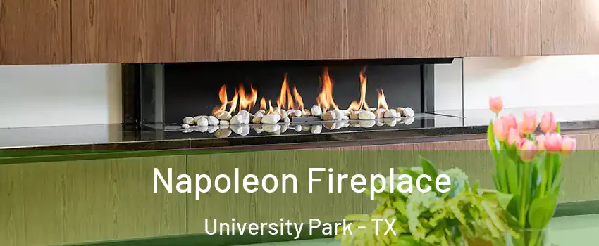 Napoleon Fireplace University Park - TX
