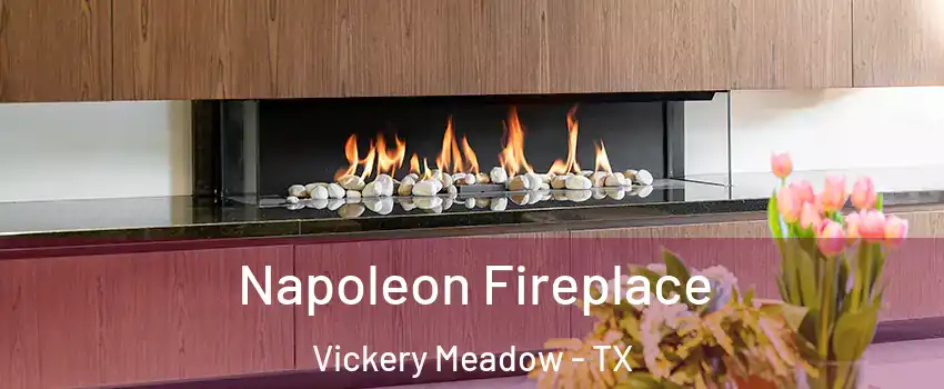 Napoleon Fireplace Vickery Meadow - TX
