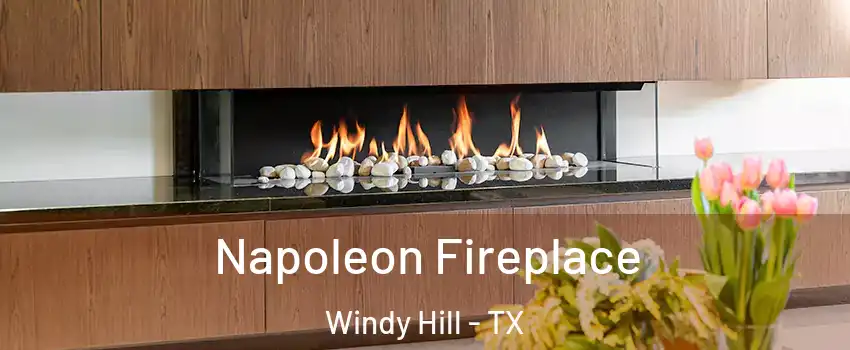 Napoleon Fireplace Windy Hill - TX