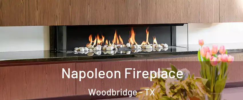 Napoleon Fireplace Woodbridge - TX