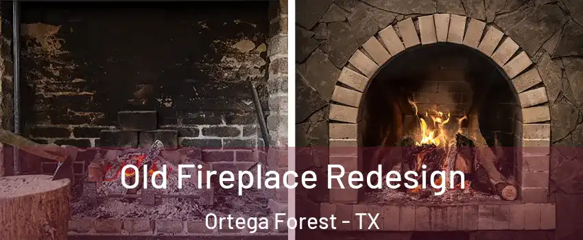 Old Fireplace Redesign Ortega Forest - TX