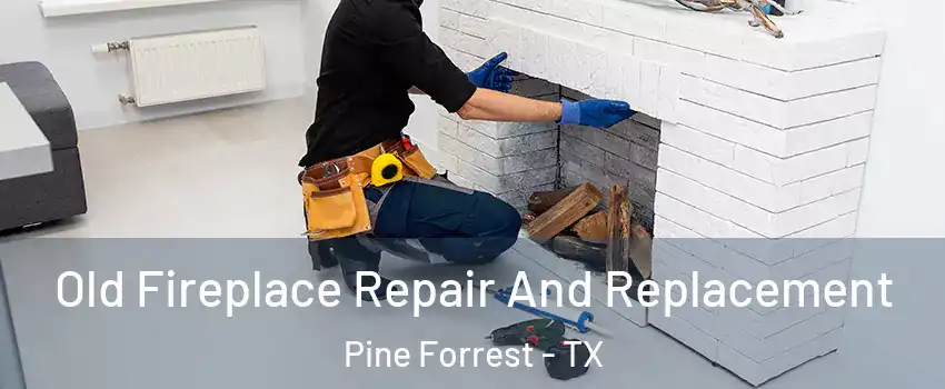 Old Fireplace Repair And Replacement Pine Forrest - TX