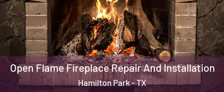 Open Flame Fireplace Repair And Installation Hamilton Park - TX