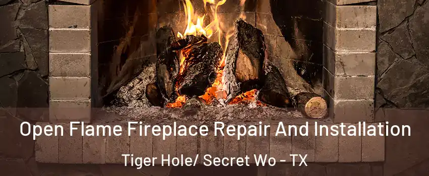 Open Flame Fireplace Repair And Installation Tiger Hole/ Secret Wo - TX