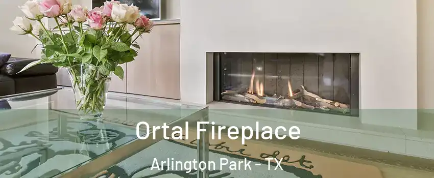 Ortal Fireplace Arlington Park - TX