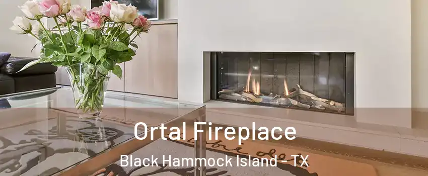 Ortal Fireplace Black Hammock Island - TX