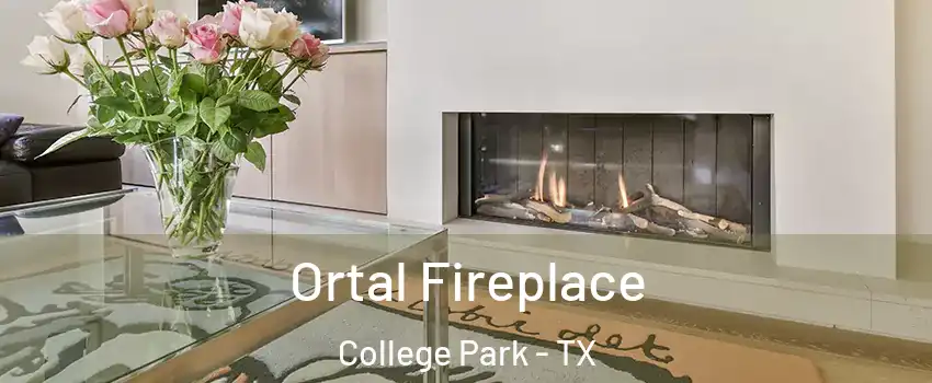 Ortal Fireplace College Park - TX