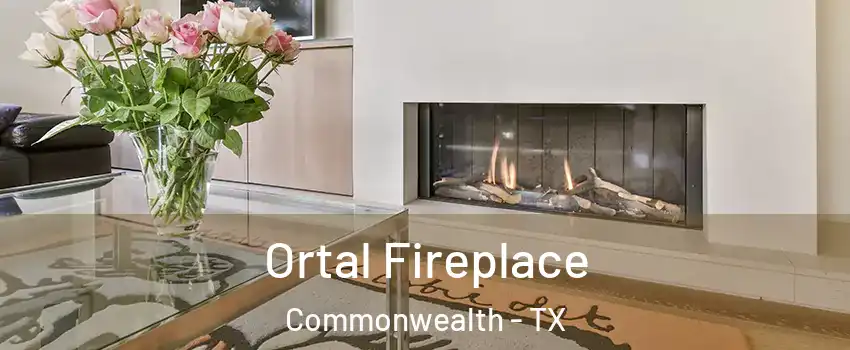 Ortal Fireplace Commonwealth - TX