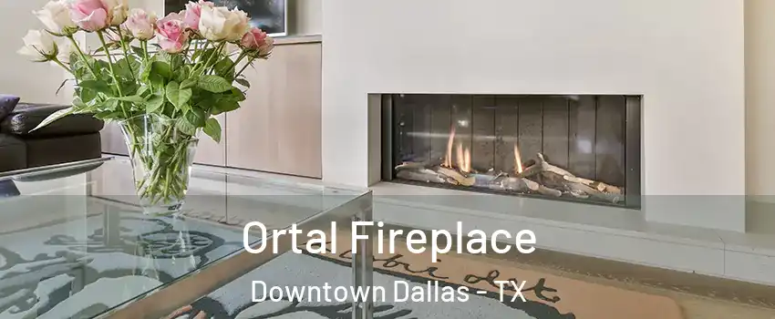 Ortal Fireplace Downtown Dallas - TX
