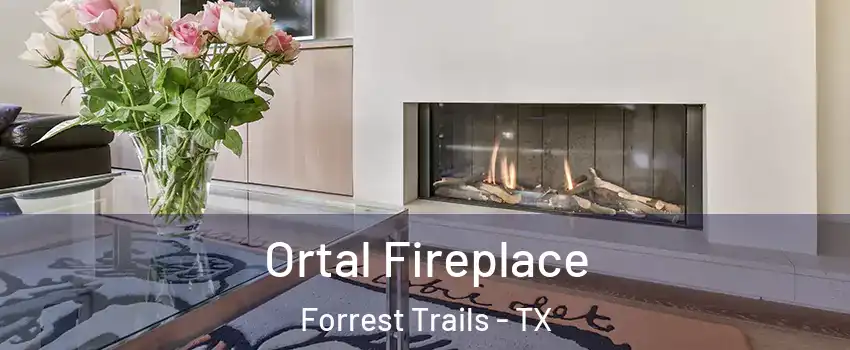 Ortal Fireplace Forrest Trails - TX