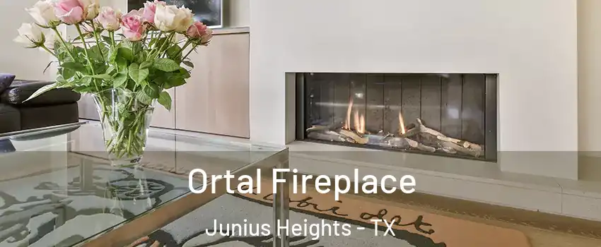 Ortal Fireplace Junius Heights - TX