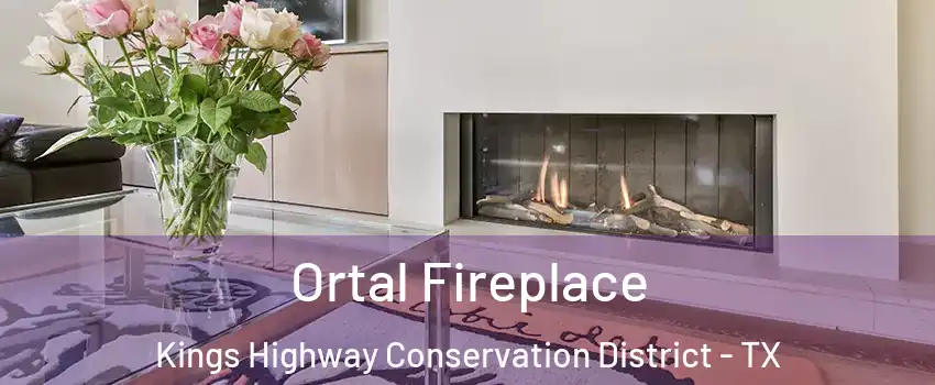 Ortal Fireplace Kings Highway Conservation District - TX
