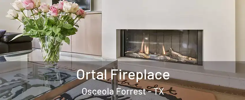 Ortal Fireplace Osceola Forrest - TX