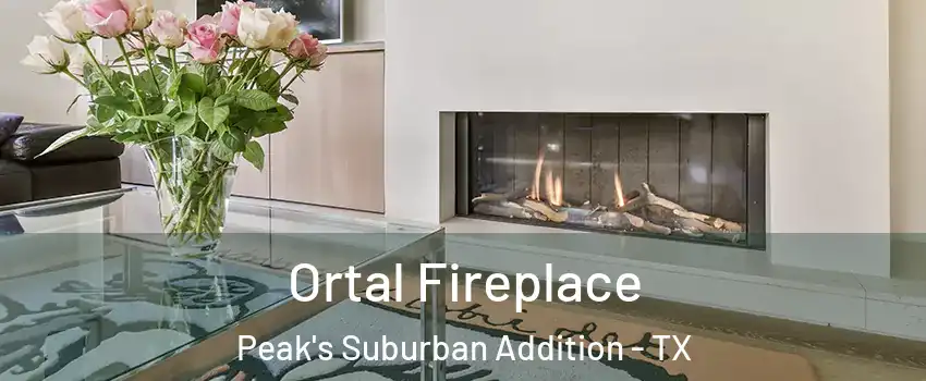Ortal Fireplace Peak's Suburban Addition - TX