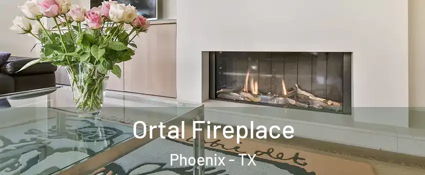 Ortal Fireplace Phoenix - TX